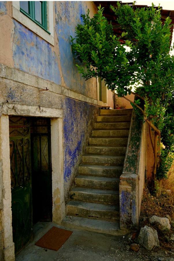 Sao Miguel House , Casa Do Carvalhal Guest House Santarem Exterior photo
